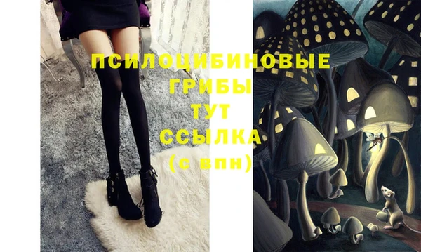 круглые Заводоуковск