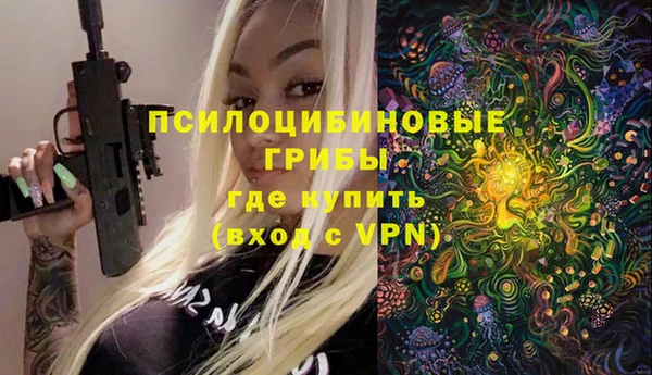 МДПВ Заволжск