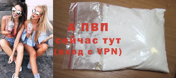 молекула духа Заволжье